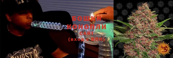 гашик Балахна
