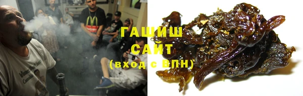 гашик Балахна