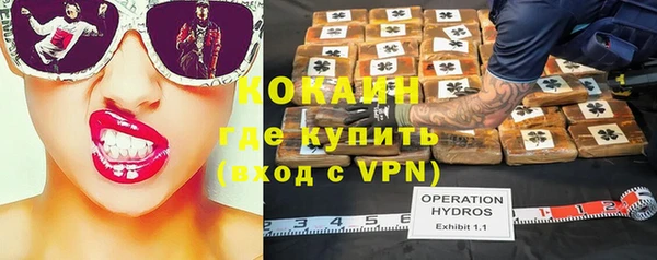 гашик Балахна